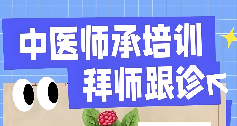 中医师承培训 中医师承培训