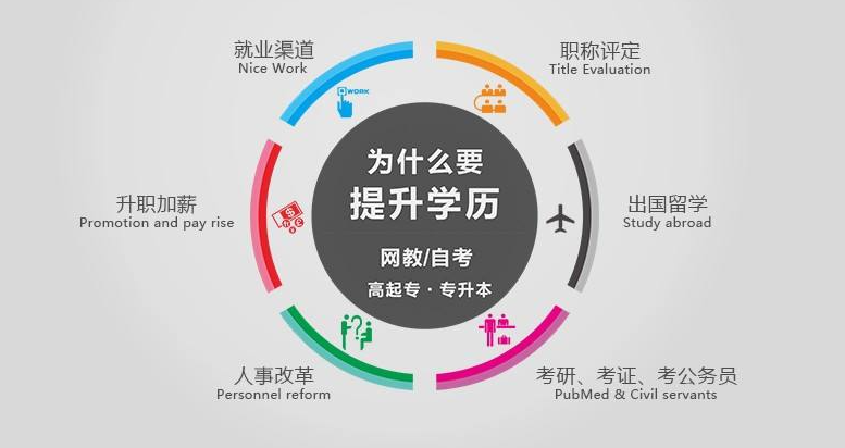 成人教育报考条件与流程