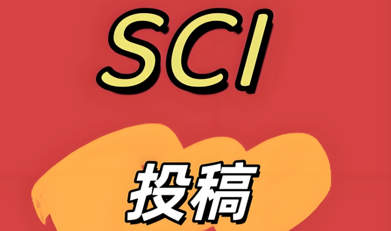 论文辅导 论文辅导
