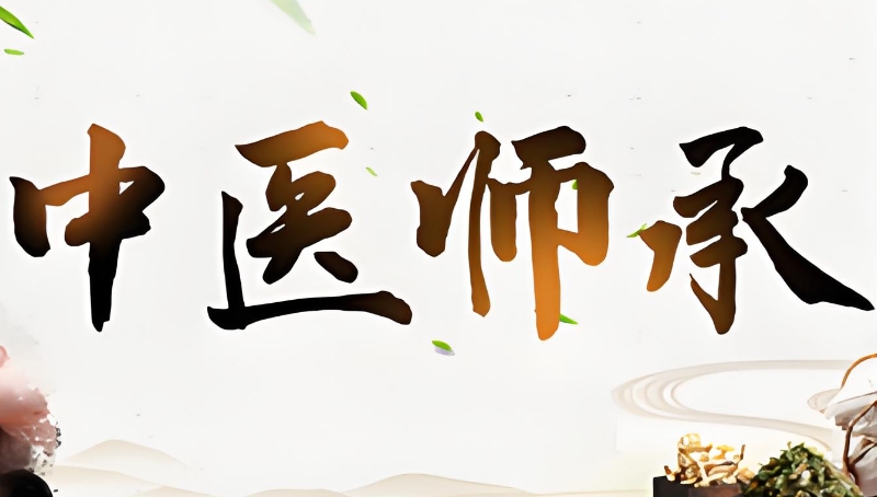 中医师承培训 中医师承培训