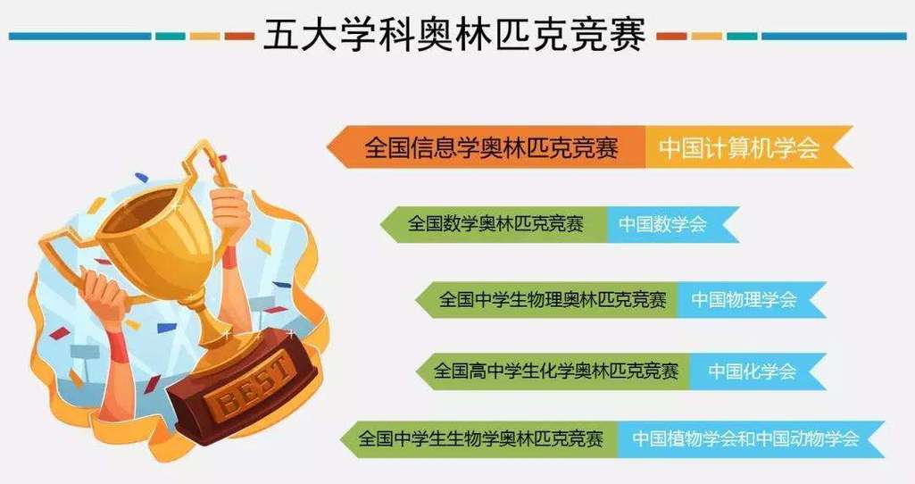 信奥赛冲刺前为何鼓励多参加密集型模拟赛