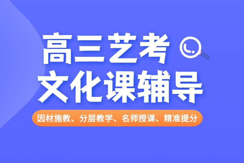 艺考生文化课辅导学校