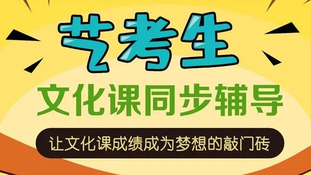艺考生文化课辅导学校