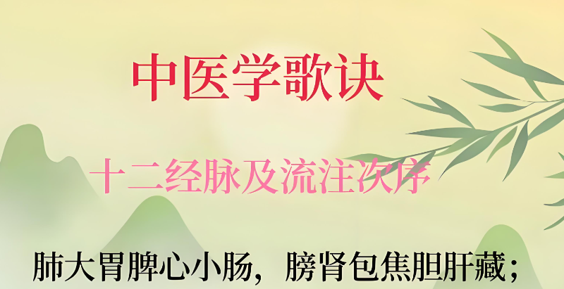 中医培训 中医培训