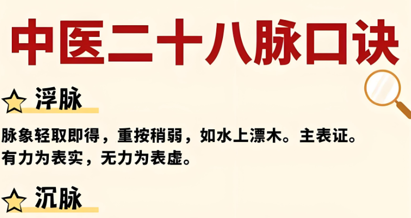 中医二十八脉必背口诀 中医二十八脉必背口诀