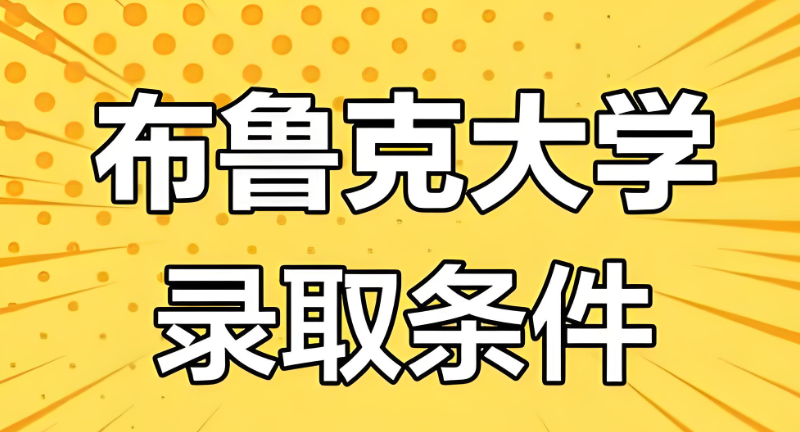 布鲁克大学 布鲁克大学