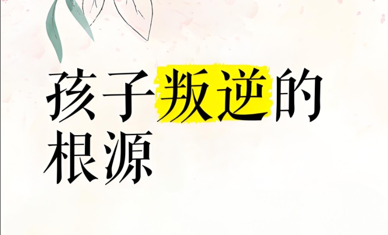 叛逆期青少年 叛逆期青少年