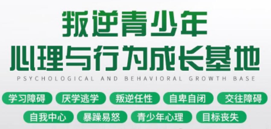 戒网瘾封闭叛逆学校 戒网瘾封闭叛逆学校