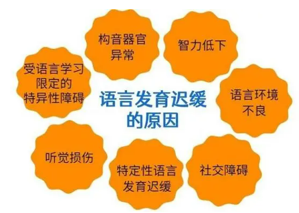 儿童语言发育迟缓康复机构 儿童语言发育迟缓康复机构