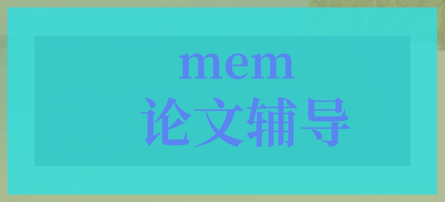 论文辅导mem哪家机构值得选择-艾思云课堂论文指导中心