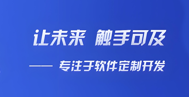 软件开发