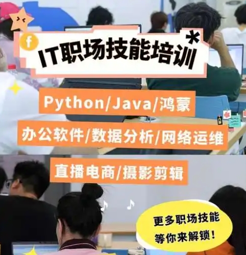 IT培训机构，IT技能学习，后端开发学习，编程语言学习