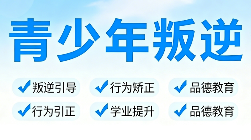 叛逆青少年 叛逆青少年