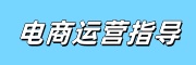 电商指导