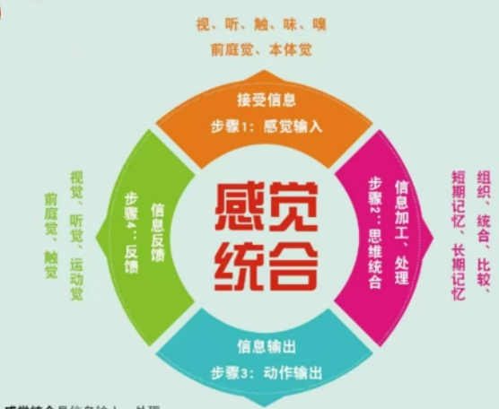 感觉统合训练课