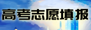 志愿填报