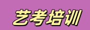 艺考培训