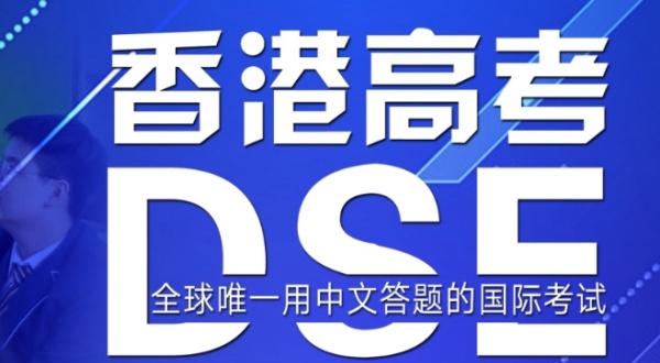 DSE项目课程