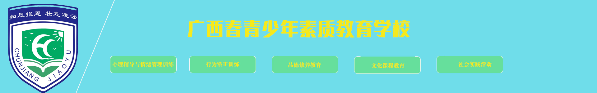 春江叛逆学校