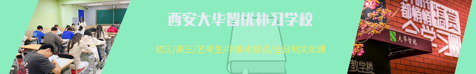 大华智优学校