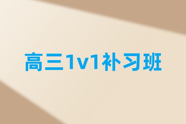 高三1v1课程