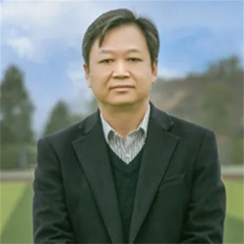 语文老师