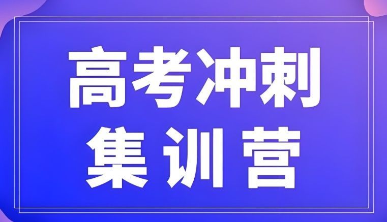 上海宝山区文化课线上补差培训学员案例