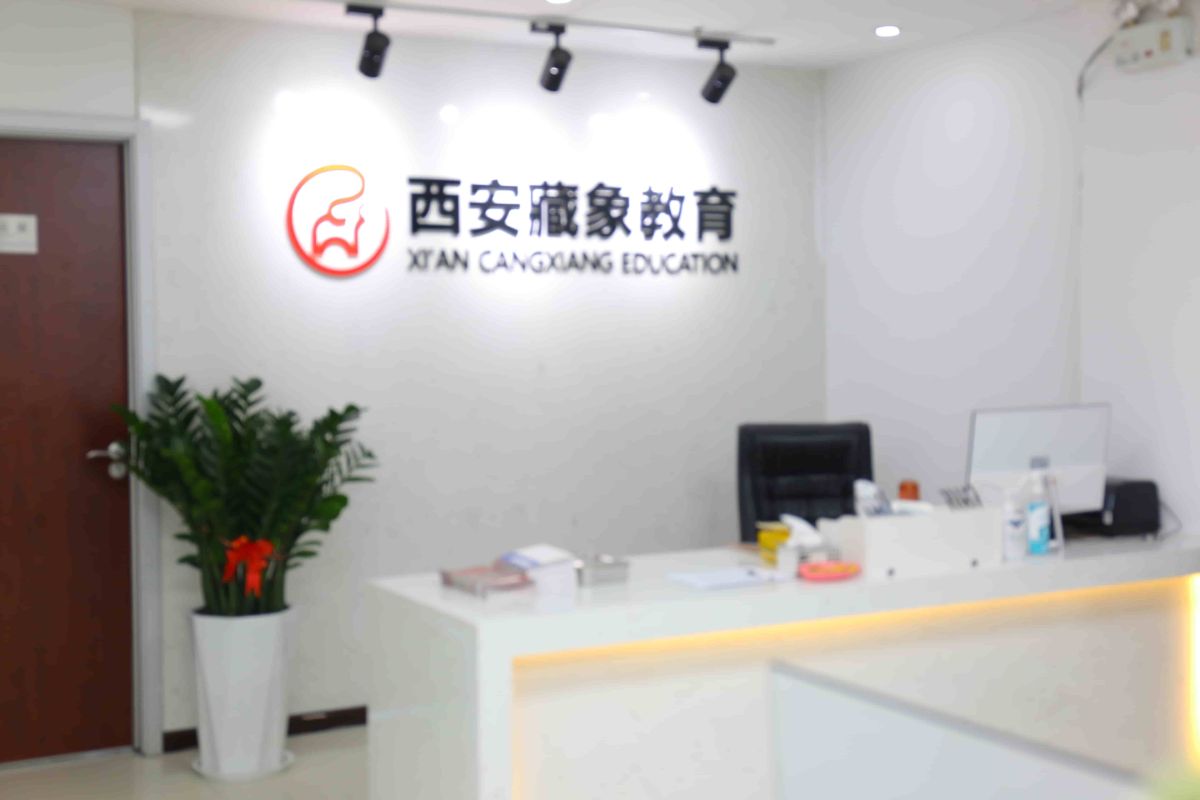确有专长报考流程