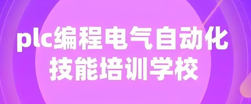 真项目实训