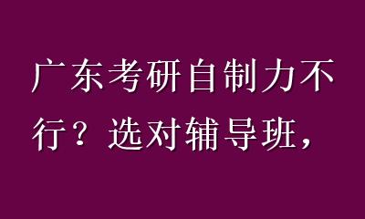 广东考研自制力不行？选对辅导班，3个月逆袭上岸！